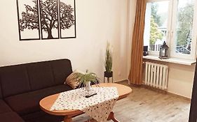 Apartament Centrum Miedzychod