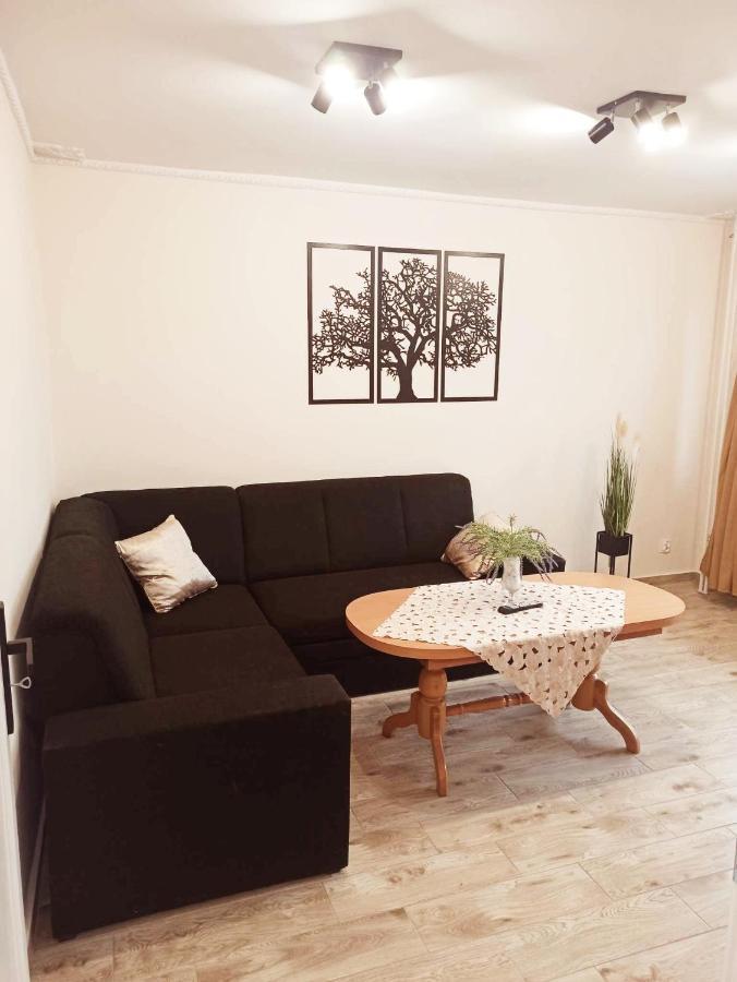 Apartament Centrum Miedzychod Zewnętrze zdjęcie